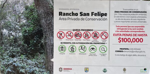 MEXIKO im Grossbrief